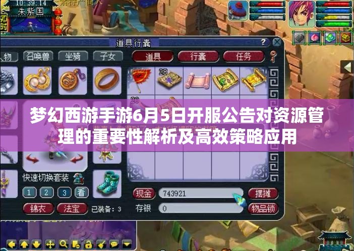 梦幻西游手游6月5日开服公告对资源管理的重要性解析及高效策略应用