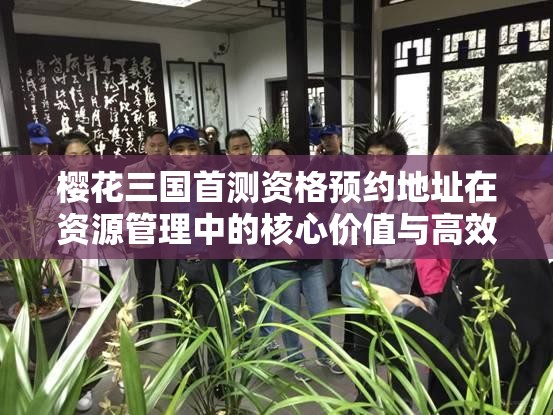樱花三国首测资格预约地址在资源管理中的核心价值与高效整合利用策略