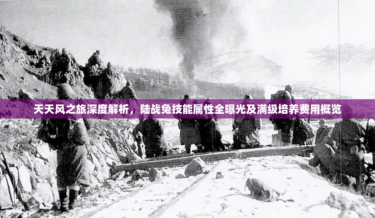 天天风之旅深度解析，陆战兔技能属性全曝光及满级培养费用概览