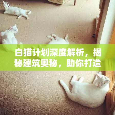 白猫计划深度解析，揭秘建筑奥秘，助你打造独一无二的梦幻城镇