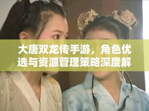 大唐双龙传手游，角色优选与资源管理策略深度解析