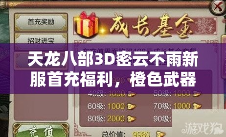 天龙八部3D密云不雨新服首充福利，橙色武器大礼包资源管理重要性及高效策略
