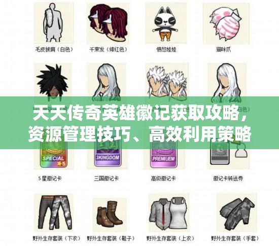 天天传奇英雄徽记获取攻略，资源管理技巧、高效利用策略及最大化价值方法