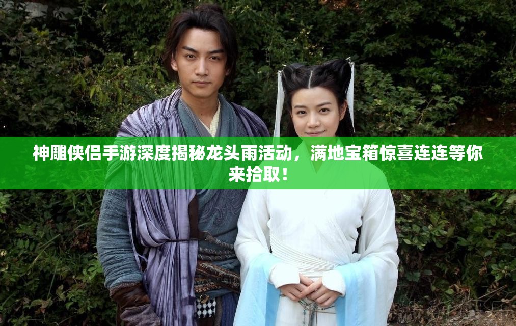 神雕侠侣手游深度揭秘龙头雨活动，满地宝箱惊喜连连等你来拾取！