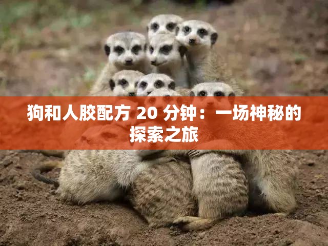 狗和人胶配方 20 分钟：一场神秘的探索之旅