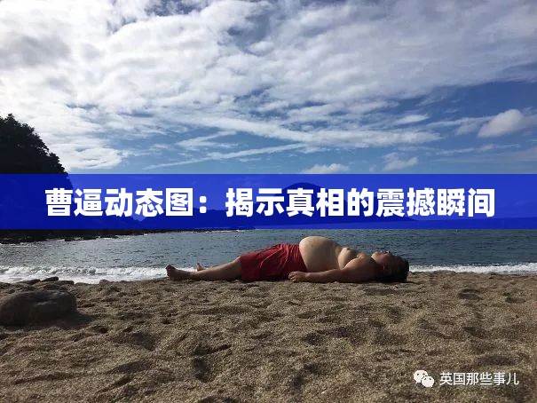 曹逼动态图：揭示真相的震撼瞬间