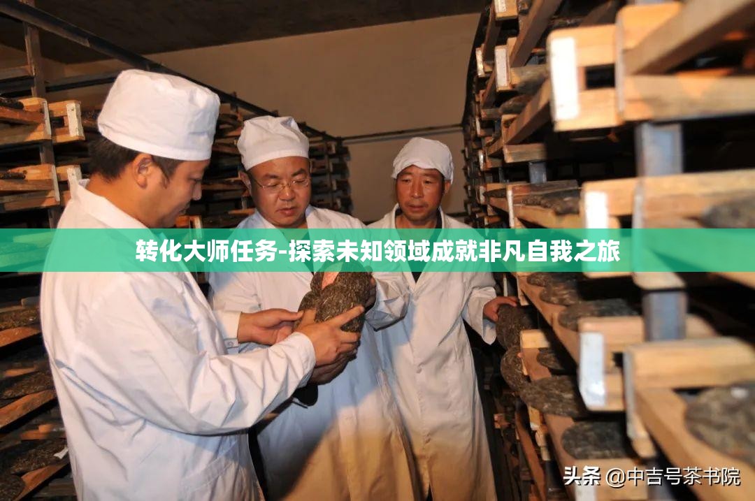 转化大师任务-探索未知领域成就非凡自我之旅