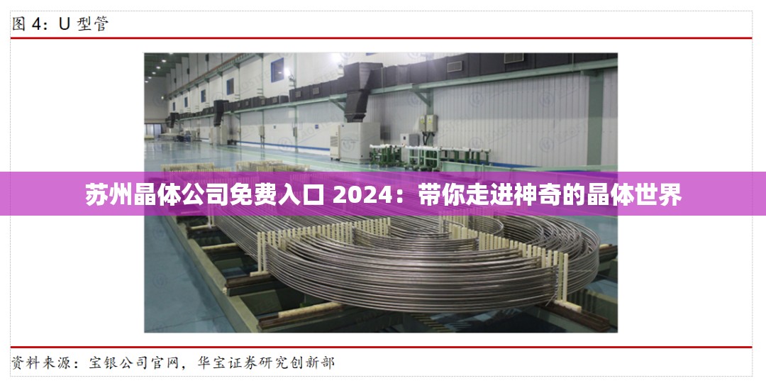 苏州晶体公司免费入口 2024：带你走进神奇的晶体世界