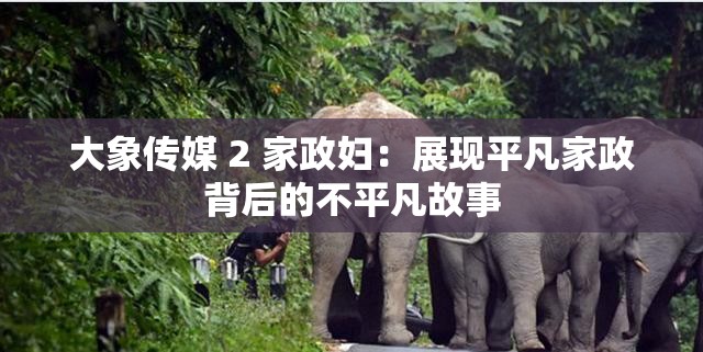 大象传媒 2 家政妇：展现平凡家政背后的不平凡故事