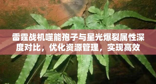 雷霆战机噬能孢子与星光爆裂属性深度对比，优化资源管理，实现高效使用并避免浪费