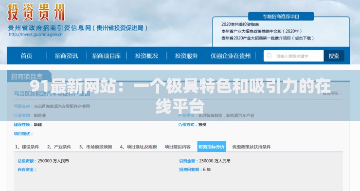 91最新网站：一个极具特色和吸引力的在线平台