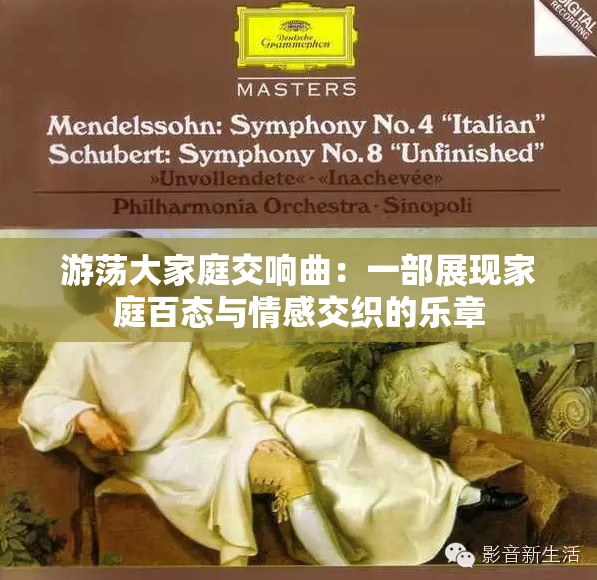 游荡大家庭交响曲：一部展现家庭百态与情感交织的乐章