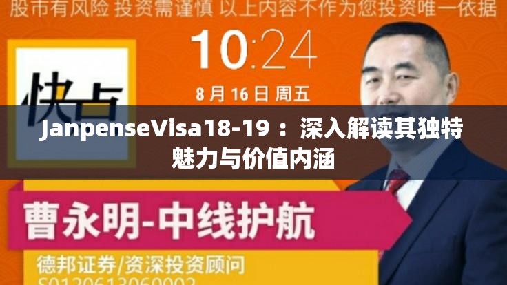 JanpenseVisa18-19 ：深入解读其独特魅力与价值内涵