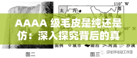 AAAA 级毛皮是纯还是仿：深入探究背后的真相与标准