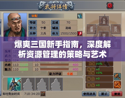 爆爽三国新手指南，深度解析资源管理的策略与艺术