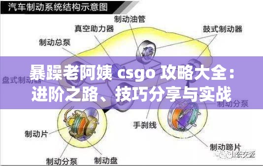 暴躁老阿姨 csgo 攻略大全：进阶之路、技巧分享与实战经验