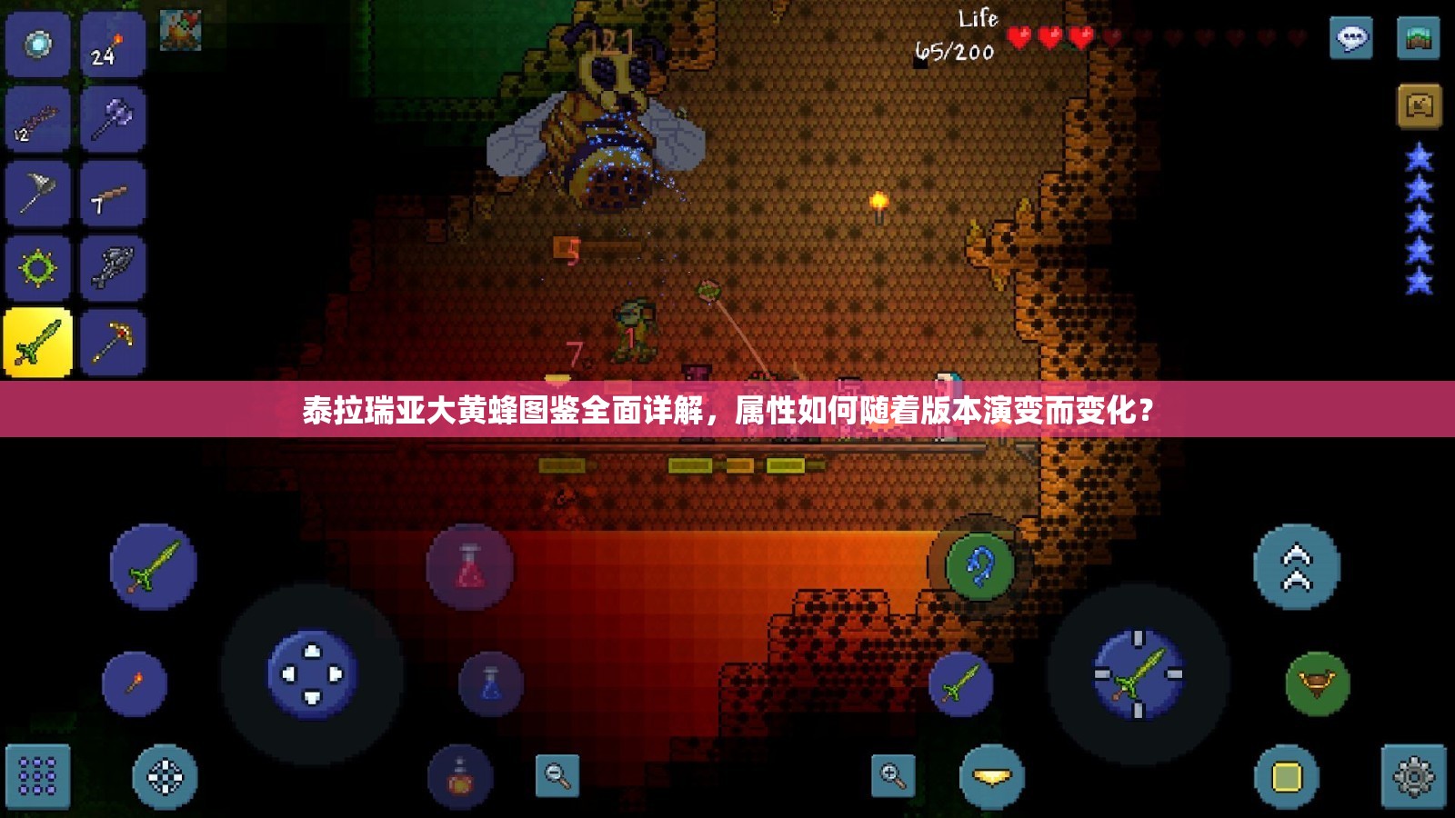 泰拉瑞亚大黄蜂图鉴全面详解，属性如何随着版本演变而变化？