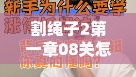 割绳子2第一章08关怎么过？揭秘底层逻辑与精准操作映射的深度攻略视频