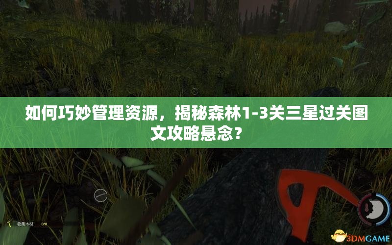 如何巧妙管理资源，揭秘森林1-3关三星过关图文攻略悬念？