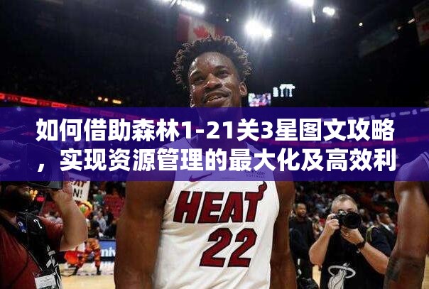 如何借助森林1-21关3星图文攻略，实现资源管理的最大化及高效利用策略？