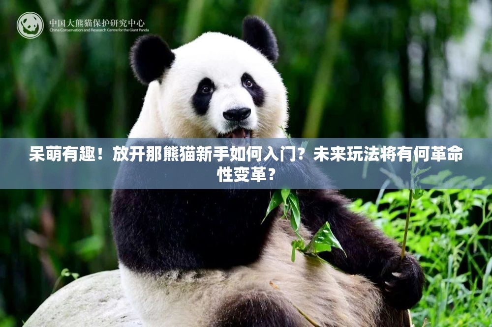 呆萌有趣！放开那熊猫新手如何入门？未来玩法将有何革命性变革？
