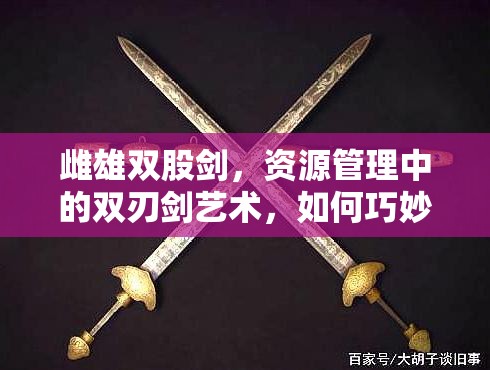 雌雄双股剑，资源管理中的双刃剑艺术，如何巧妙平衡？