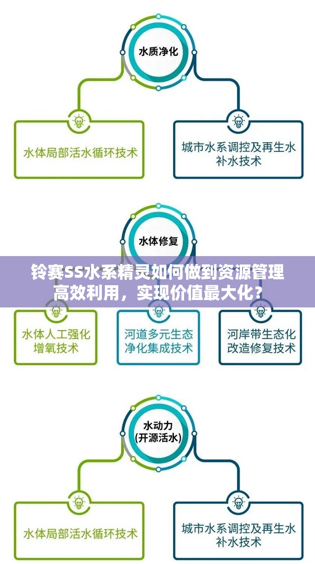 铃赛SS水系精灵如何做到资源管理高效利用，实现价值最大化？