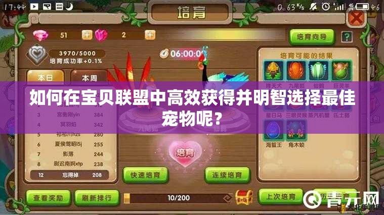 如何在宝贝联盟中高效获得并明智选择最佳宠物呢？