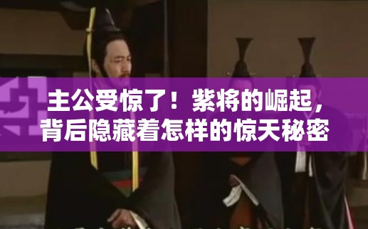 主公受惊了！紫将的崛起，背后隐藏着怎样的惊天秘密？