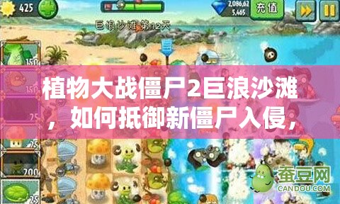 植物大战僵尸2巨浪沙滩，如何抵御新僵尸入侵，通关攻略揭秘？