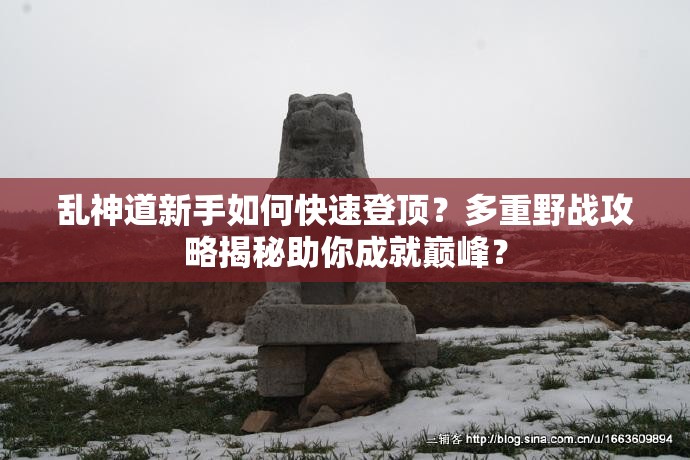 乱神道新手如何快速登顶？多重野战攻略揭秘助你成就巅峰？