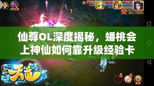 仙尊OL深度揭秘，蟠桃会上神仙如何靠升级经验卡踏上奇妙之旅？