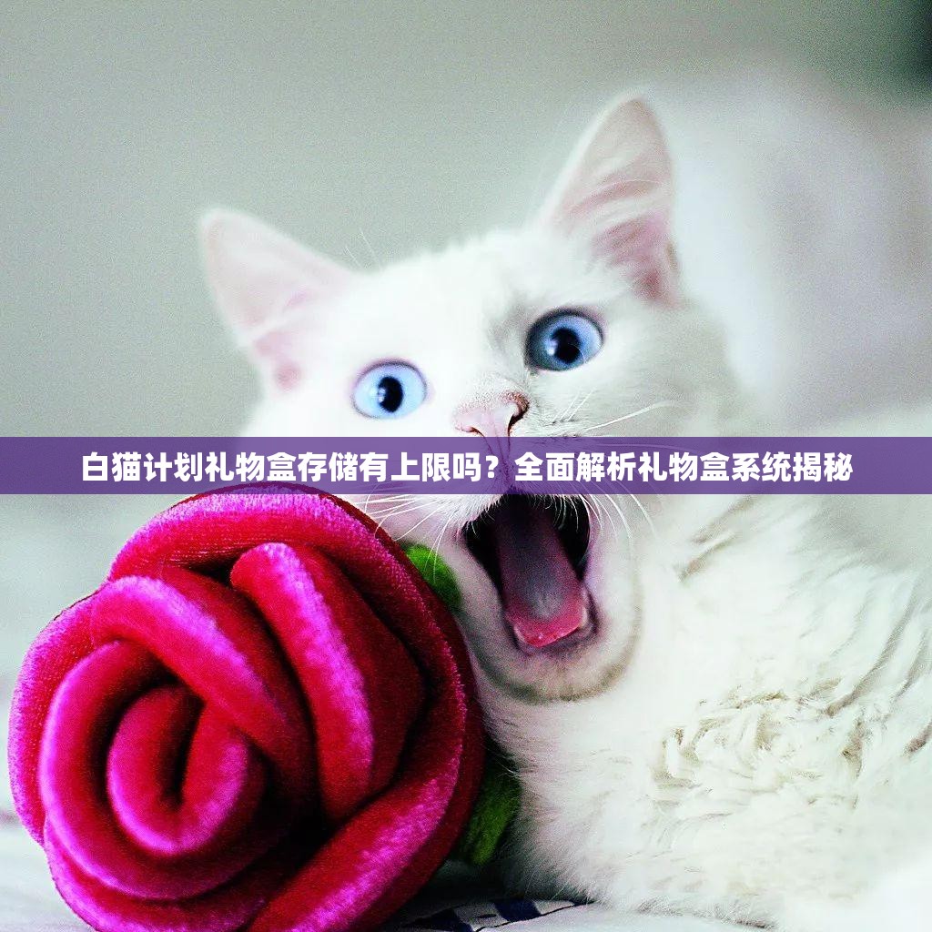 白猫计划礼物盒存储有上限吗？全面解析礼物盒系统揭秘