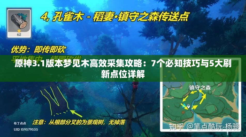 原神3.1版本梦见木高效采集攻略：7个必知技巧与5大刷新点位详解