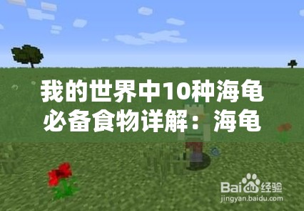 我的世界中10种海龟必备食物详解：海龟吃什么才能健康成长？