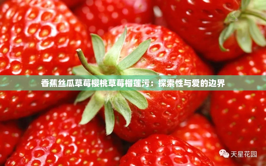 香蕉丝瓜草莓樱桃草莓榴莲污：探索性与爱的边界