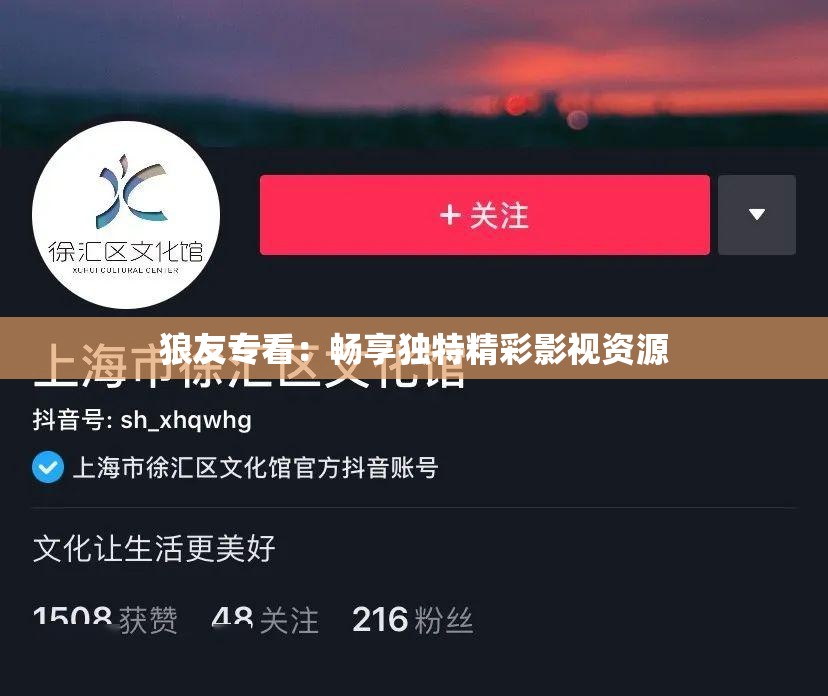 狼友专看：畅享独特精彩影视资源