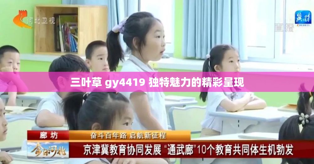 三叶草 gy4419 独特魅力的精彩呈现