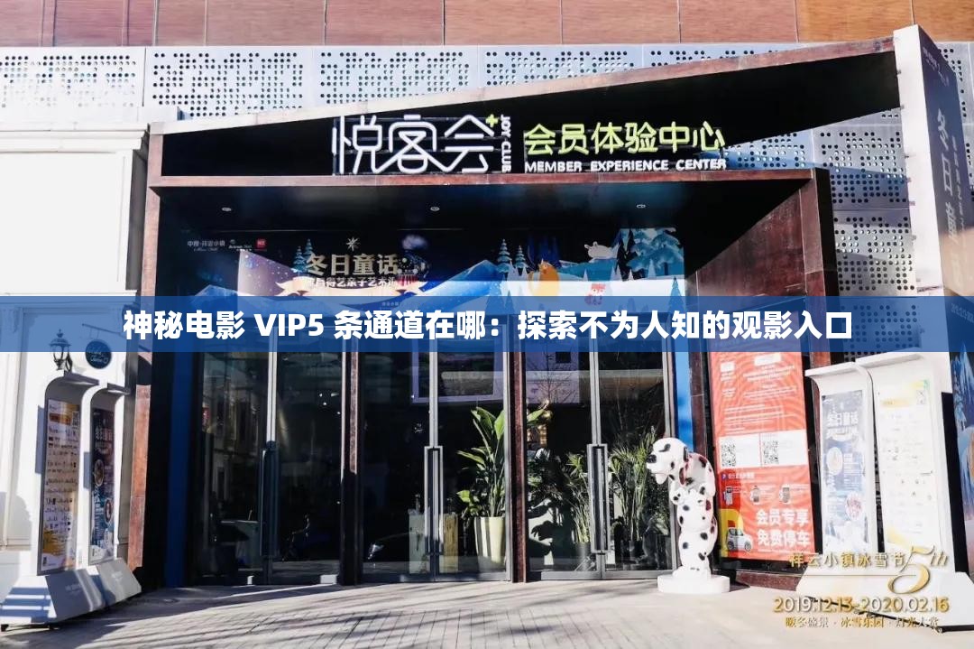 神秘电影 VIP5 条通道在哪：探索不为人知的观影入口