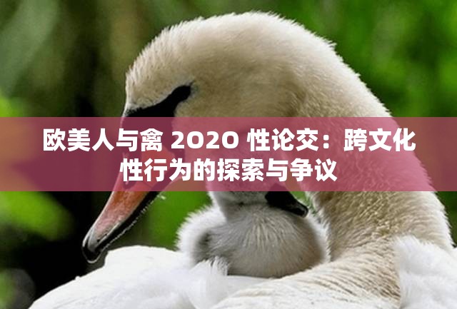 欧美人与禽 2O2O 性论交：跨文化性行为的探索与争议