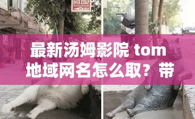 最新汤姆影院 tom 地域网名怎么取？带你领略全球精彩