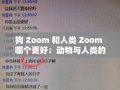 狗 Zoom 和人类 Zoom 哪个更好：动物与人类的比较