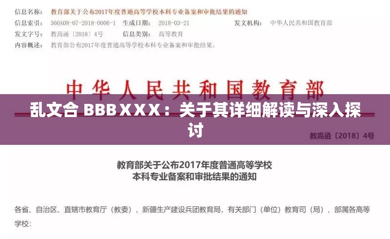 乱文合 BBBⅩXⅩ：关于其详细解读与深入探讨