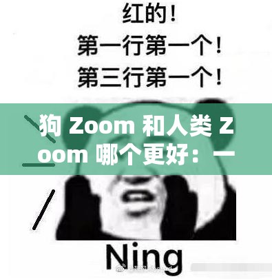 狗 Zoom 和人类 Zoom 哪个更好：一场有趣的对比探讨