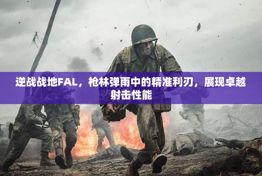 逆战战地FAL，枪林弹雨中的精准利刃，展现卓越射击性能