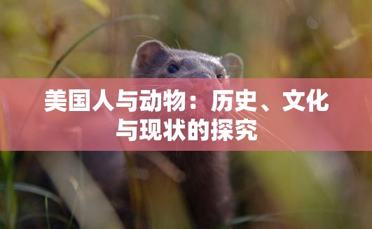 美国人与动物：历史、文化与现状的探究