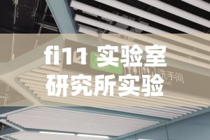 fi11 实验室研究所实验室：关于其重要研究成果与未来发展方向的探讨