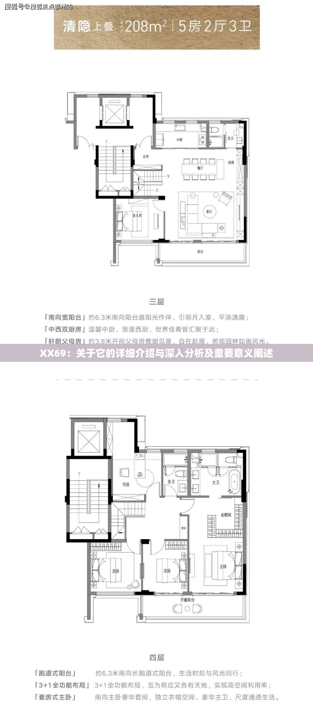 XX69：关于它的详细介绍与深入分析及重要意义阐述