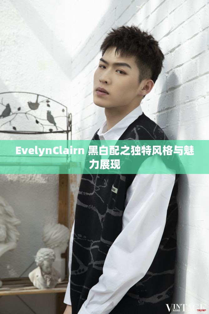 EvelynClairn 黑白配之独特风格与魅力展现