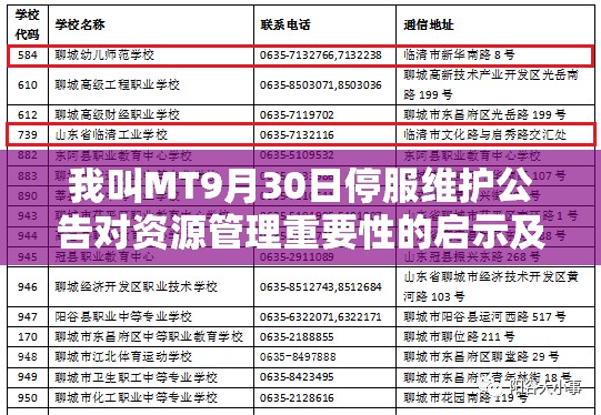 我叫MT9月30日停服维护公告对资源管理重要性的启示及高效策略探讨